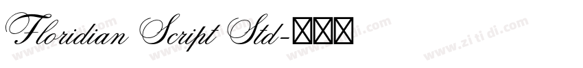 Floridian Script Std字体转换